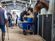 DS091023-76 - Dan Skelton stable visit